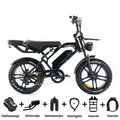 QMWHEEL V20 PRO 10.0 2026 - Fatbike - Special Edition - Hypebikes