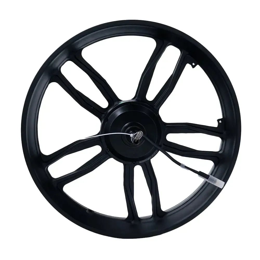V20/S20 - Motor - Met Velg - 250 watt - Zwarte kabel - Hypebikes