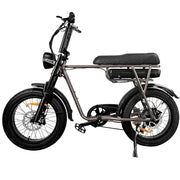 EB2 Pro - Koffie - Hypebikes