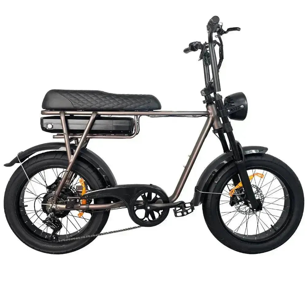 EB2 Pro - Koffie - Hypebikes
