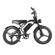 Fat Bike V20 Pro Max 24″ banden - Hypebikes
