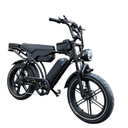 QM Wheels V29 Pro Fatbike Dubbele Accu Zwart - Hypebikes