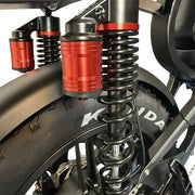 QM Wheels V29 Pro Fatbike Dubbele Accu Zwart - Hypebikes