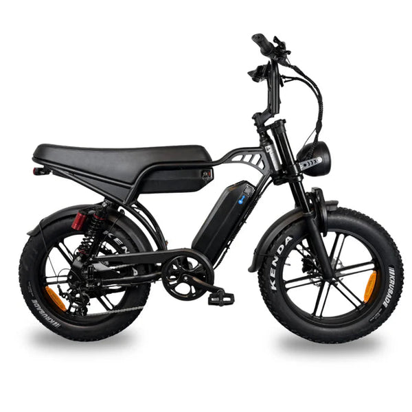 QM Wheels V29 Pro Fatbike Dubbele Accu Zwart
