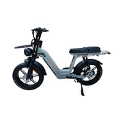 QmWheel D50 Elektrische Fatbike Grijs 250W Motor Dubbele Vering - Hypebikes