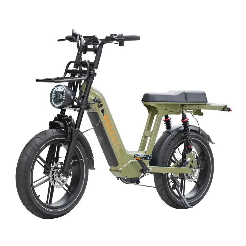 QmWheel D50 Fatbike - Groen - Hypebikes