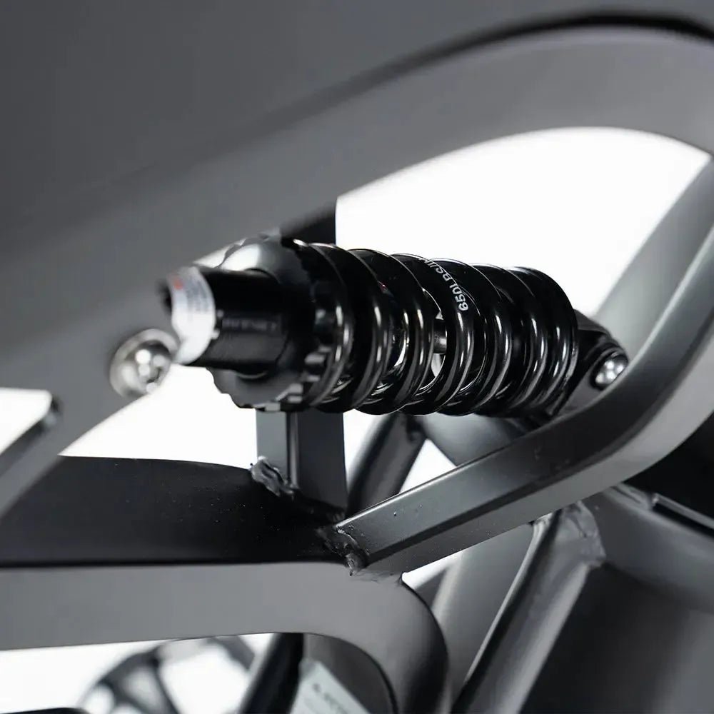 QMWHEEL V20 PRO 10.0 2026 - Fatbike Zwart Basic - Hypebikes