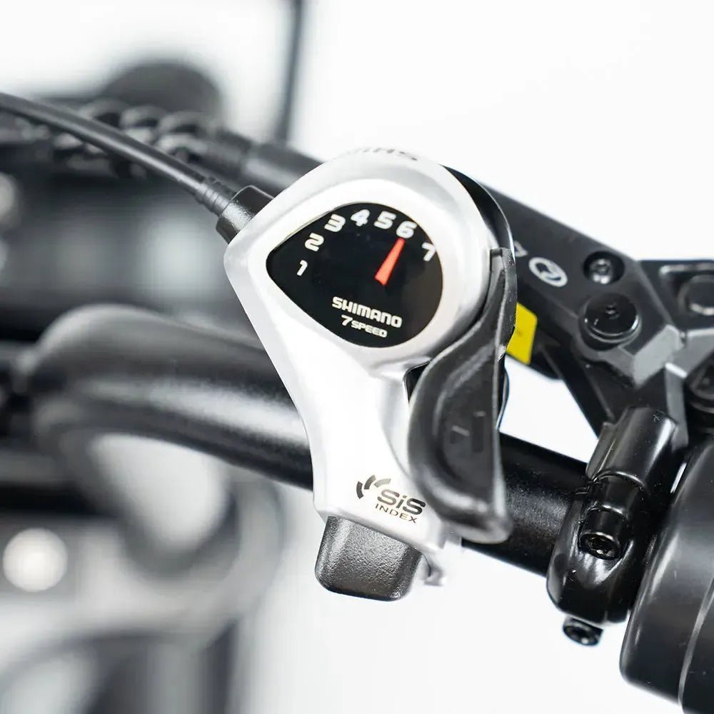 QMWHEEL V20 PRO 10.0 2026 - Fatbike Zwart Basic - Hypebikes