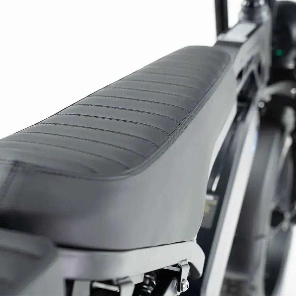 QMWHEEL V20 PRO 10.0 2026 - Fatbike Zwart Basic - Hypebikes