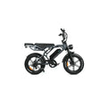 QMWHEEL V20 PRO 10.0 2026 - Fatbike - Dark Grey Basic