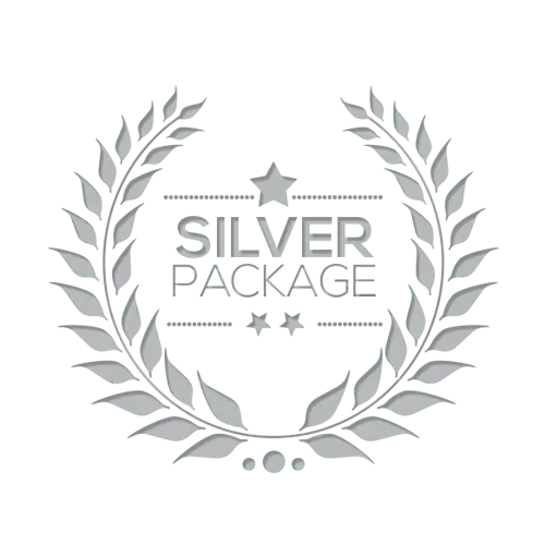 Service Package 2: Silver