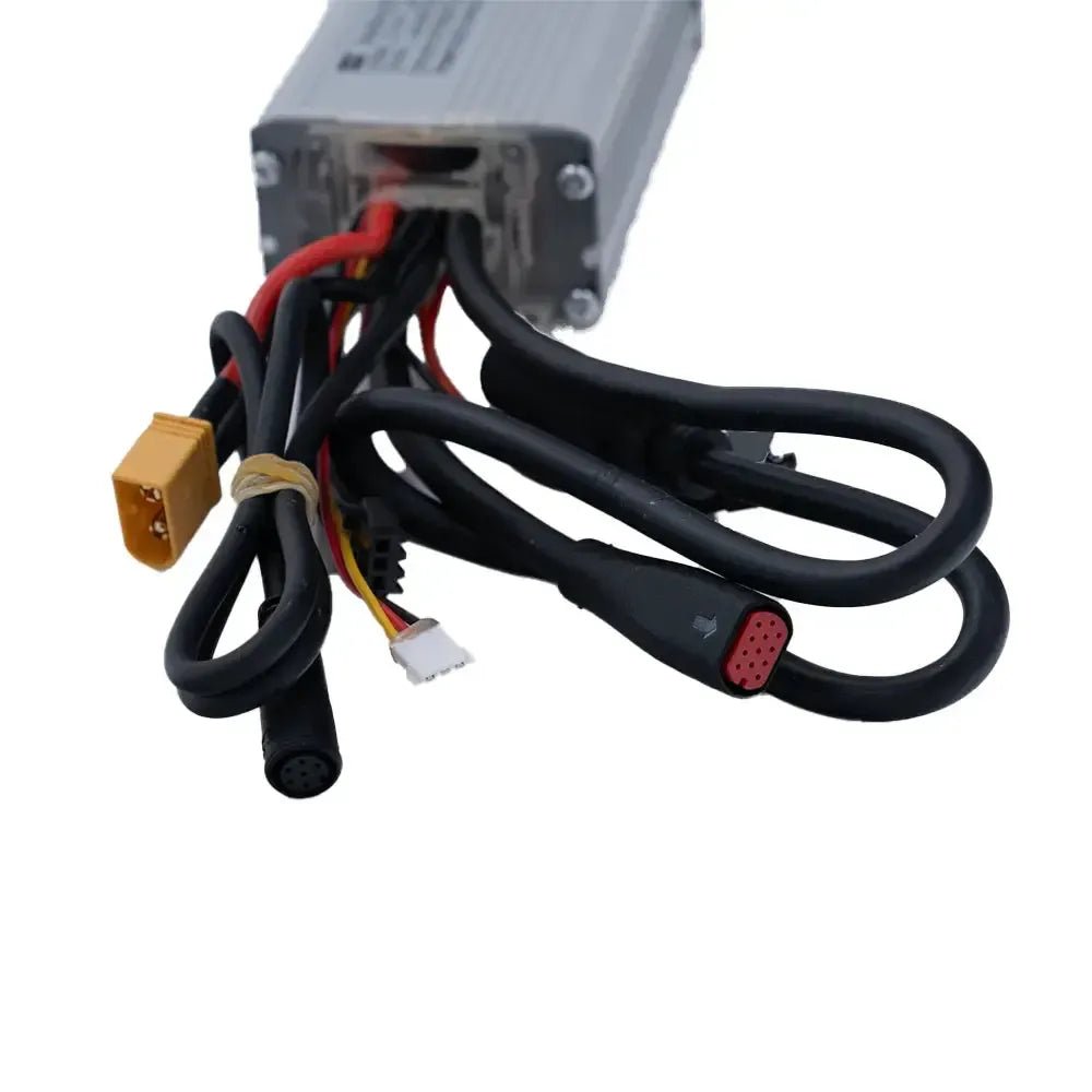 V20 - Motor Controller 250 watt - Hypebikes